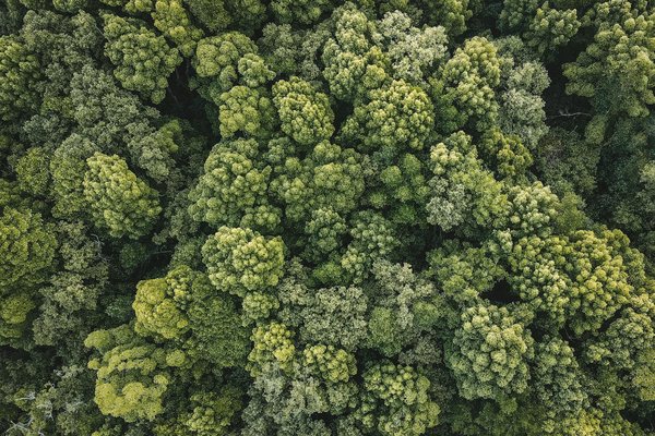 Votre carte grise à aix-en-provence : démarches simplifiées !